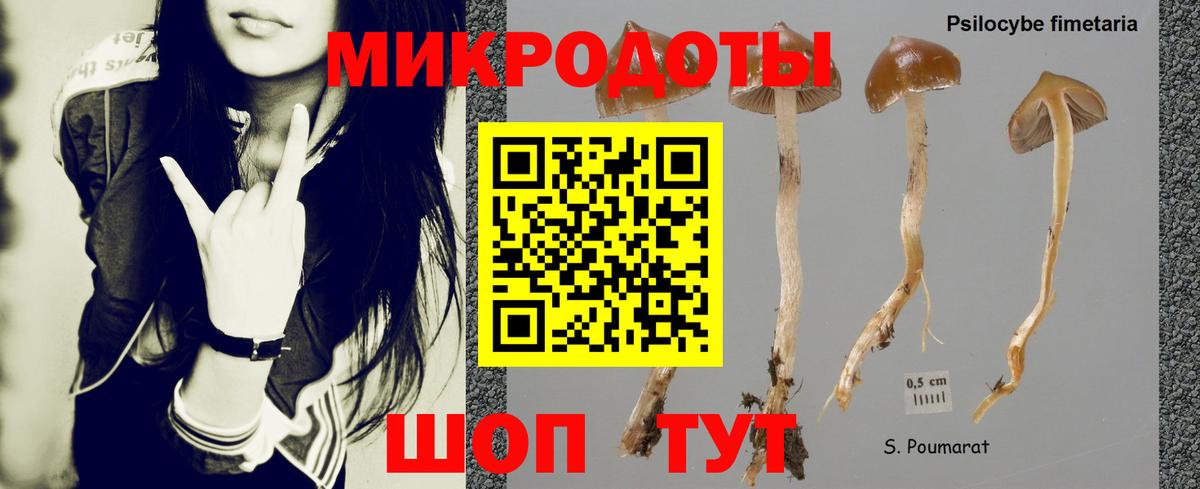Новоуральск  Псилоцибиновые грибы MAGIC MUSHROOMS  где продают наркотики  Псилоцибиновые грибы MAGIC MUSHROOMS  Вход с VPN 